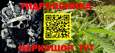 спайс Ачхой-Мартан