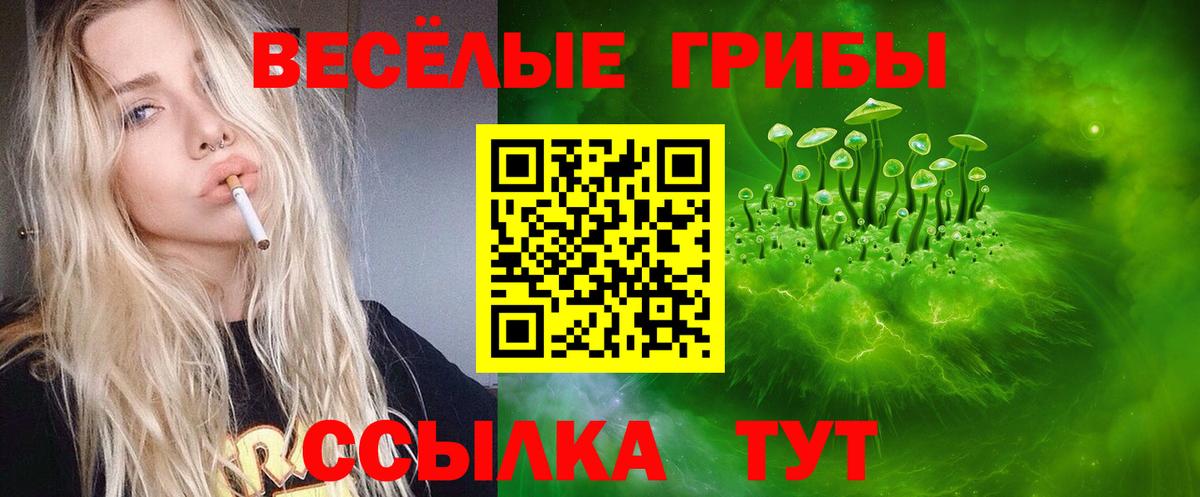 Александров  Псилоцибиновые грибы Cubensis  Вход с VPN 