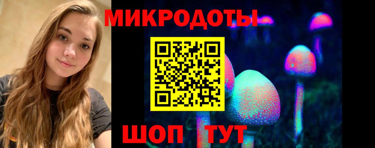 Псилоцибиновые грибы Psilocybe Александров